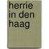 Herrie in Den Haag