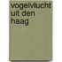 Vogelvlucht uit Den Haag