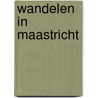Wandelen in Maastricht door I. Zwolle