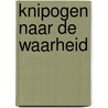 Knipogen naar de waarheid door W. de Wit