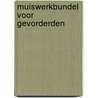 Muiswerkbundel voor gevorderden door T.J. Schijf