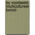 By voorbeeld multicultureel beleid
