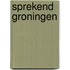 Sprekend Groningen