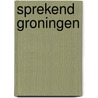 Sprekend Groningen door M. Kiel
