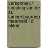 Verkennerij / scouting van de St. Lambertusgroep Meerveld - d' Ekker door J. Bijnen