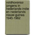 Veldhovense jongens in Nederlands-Indie en Nederlands Nieuw-Guinea 1945-1962