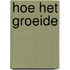 Hoe het groeide