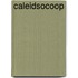 Caleidsocoop
