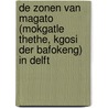 De zonen van Magato (Mokgatle Thethe, kgosi der Bafokeng) in Delft door G.J. Schutte