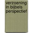 Verzoening in bijbels perspectief