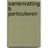 Samenvatting B Particulieren