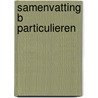 Samenvatting B Particulieren door M.G. Weber