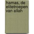 Hamas, de elitetroepen van Allah