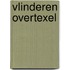 Vlinderen overTexel