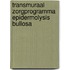Transmuraal Zorgprogramma Epidermolysis Bullosa