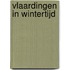 Vlaardingen in wintertijd