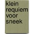 Klein requiem voor Sneek