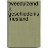 Tweeduizend jr. geschiedenis friesland by Pieter Terpstra