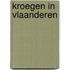 Kroegen in vlaanderen