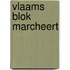 Vlaams blok marcheert