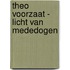Theo Voorzaat - Licht van mededogen