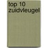 Top 10 Zuidvleugel