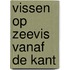Vissen op zeevis vanaf de kant