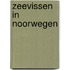 Zeevissen in Noorwegen