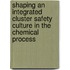 Shaping an integrated cluster safety culture in the chemical process