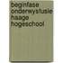 Beginfase onderwysfusie haage hogeschool