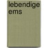 Lebendige Ems