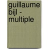 Guillaume Bijl - Multiple by Unknown