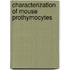 Characterization of mouse prothymocytes