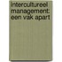 Intercultureel management: een vak apart