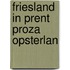 Friesland in prent proza opsterlan