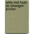 Witte mei haalt de lykwagen binnen