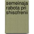 Semeinaja rabota pri shisofrenii