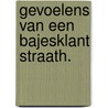 Gevoelens van een bajesklant straath. door Esschert