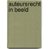 Auteursrecht in beeld