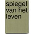 Spiegel van het leven