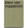Kleur van maastricht door Minis