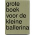 Grote boek voor de kleine ballerina