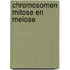 Chromosomen mitose en meiose