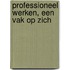 Professioneel werken, een vak op zich