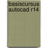 Basiscursus autocad R14 door Onbekend