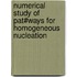 Numerical study of pat#ways for homogeneous nucleation