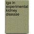 IgA in experimental kidney disease