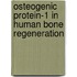 Osteogenic protein-1 in human bone regeneration