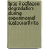 Type II collagen degradation during experimental (osteo)arthritis