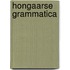 Hongaarse grammatica
